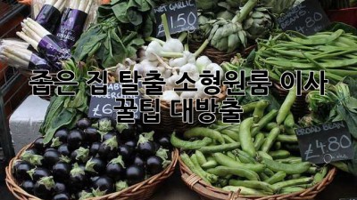 좁은 집 탈출! 소형/원룸 이사 꿀팁 대방출 📦✨